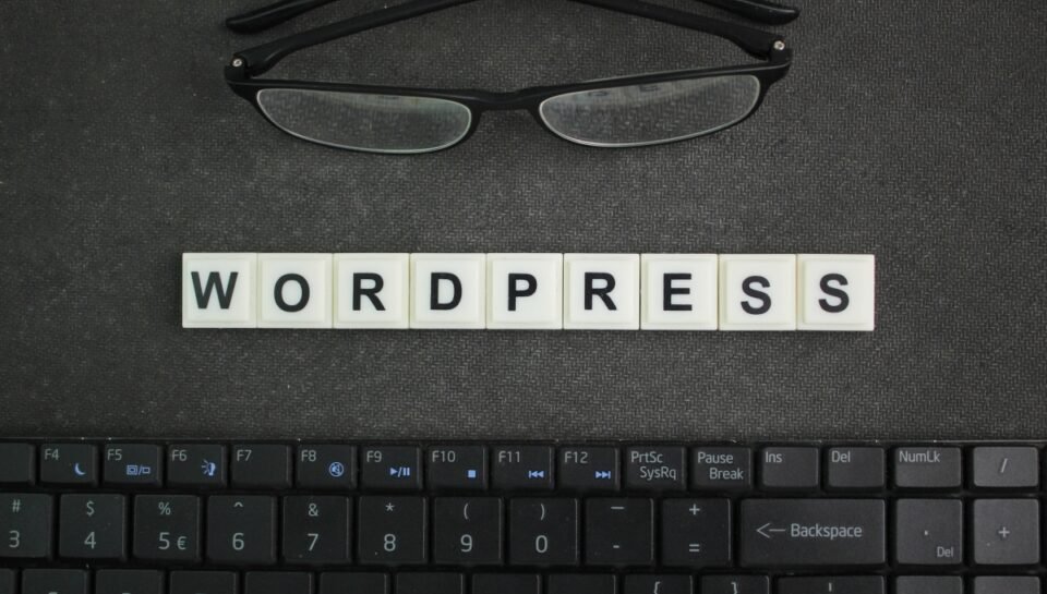 Saiba escolher o tema certo para o seu site WordPress Saiba escolher o tema certo para o seu site WordPress